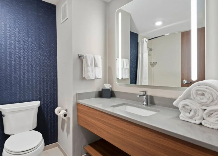 16-fis-hickory-guest bath