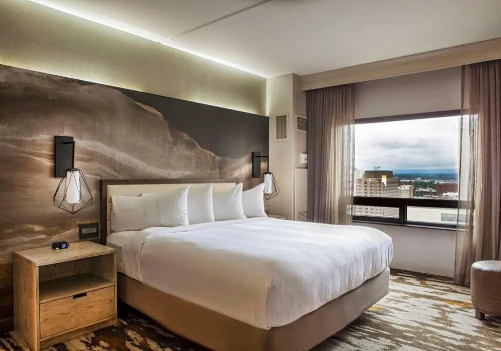 16-king-guestroom