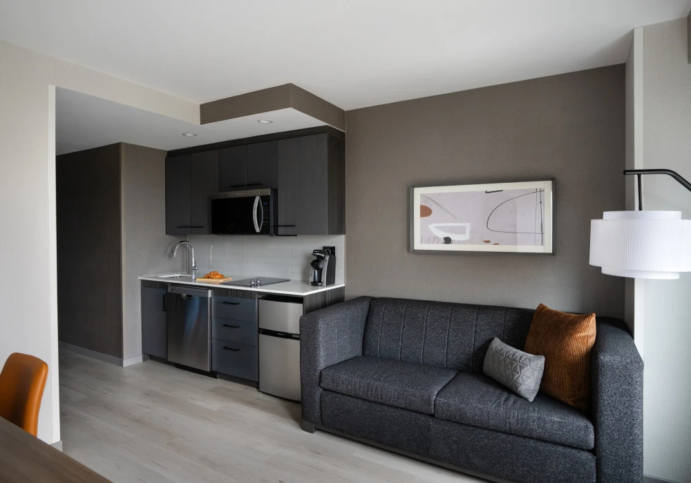32-one-bedroom-studio-suite-with-sleeper